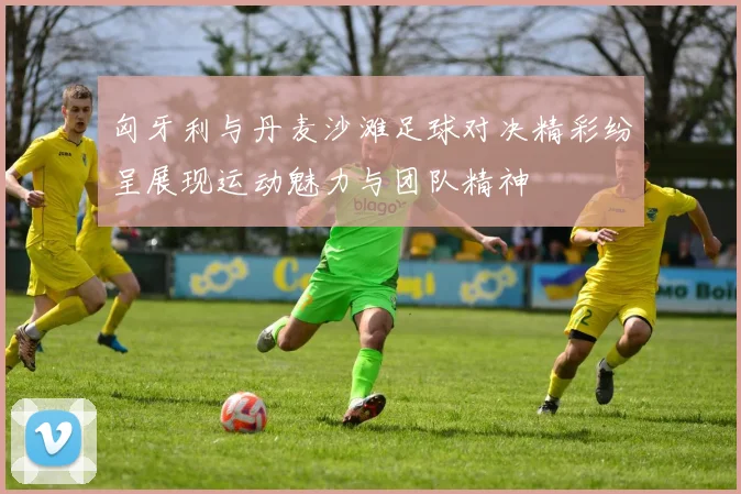 匈牙利与丹麦沙滩足球对决精彩纷呈展现运动魅力与团队精神